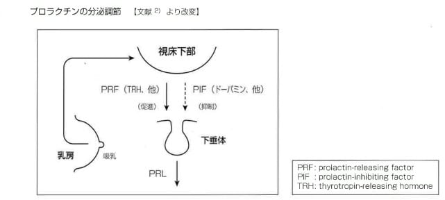 婦人科 性腺ホルモン Www Diagnostics Jp Tosohbioscience Com